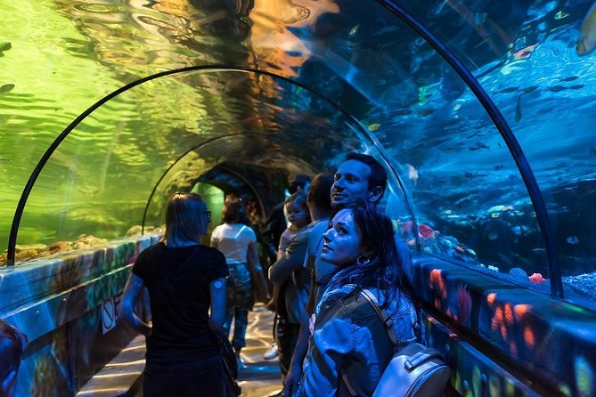 Sea Life Brighton Admission Ticket - Rainforest Adventure brings tropical heat