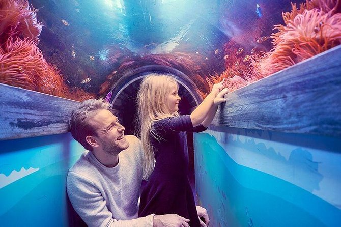 Sea Life Brighton Admission Ticket - A compact aquarium with a simple route