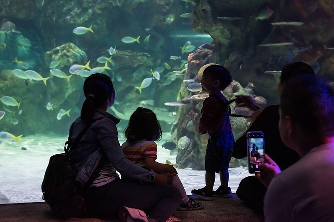 Sea Life Brighton Admission Ticket - When to arrive and how to use the all-day ticket