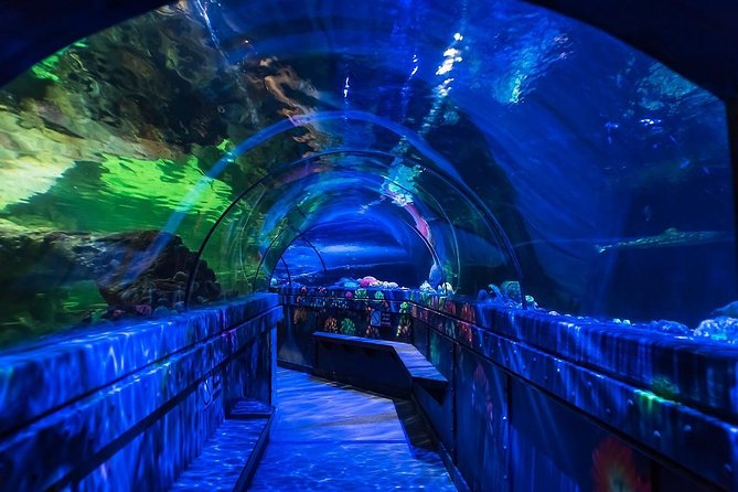 Sea Life Brighton Admission Ticket - Is the $21 price good value?