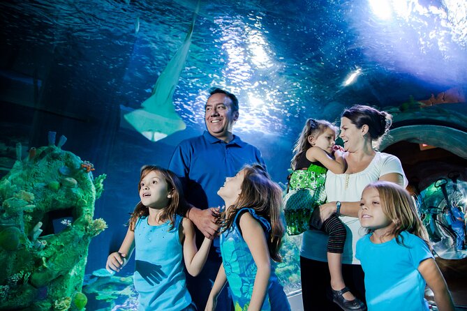 Sea Life Charlotte Concord Aquarium Admission Ticket - The underwater tunnel is the clear highlight