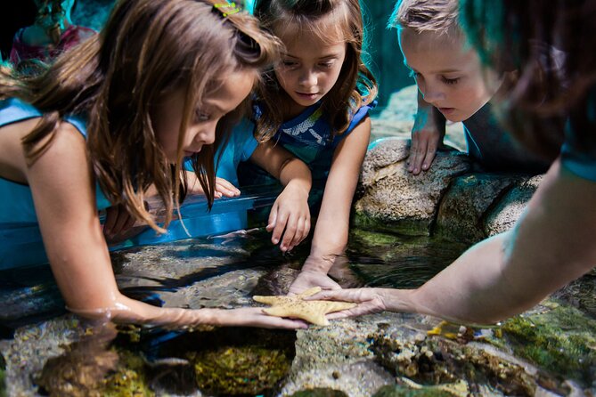 Sea Life Charlotte Concord Aquarium Admission Ticket - How long should you allow?