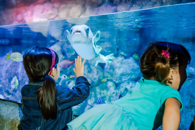 Sea Life Charlotte Concord Aquarium Admission Ticket - Who should book Sea Life Charlotte-Concord?