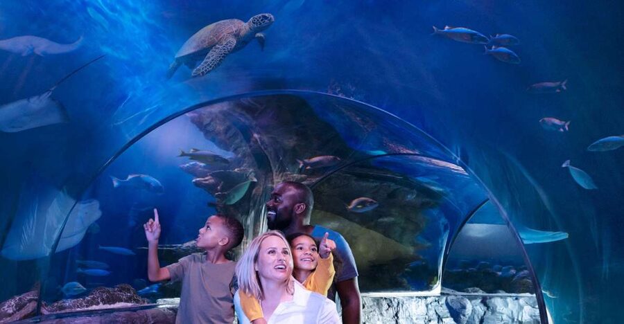 SEA LIFE Charlotte-Concord Aquarium General Admission - Starting at Concord Mills Mall