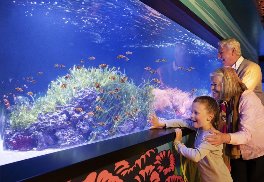 SEA LIFE Charlotte-Concord Aquarium General Admission - Ten zones that build an underwater story