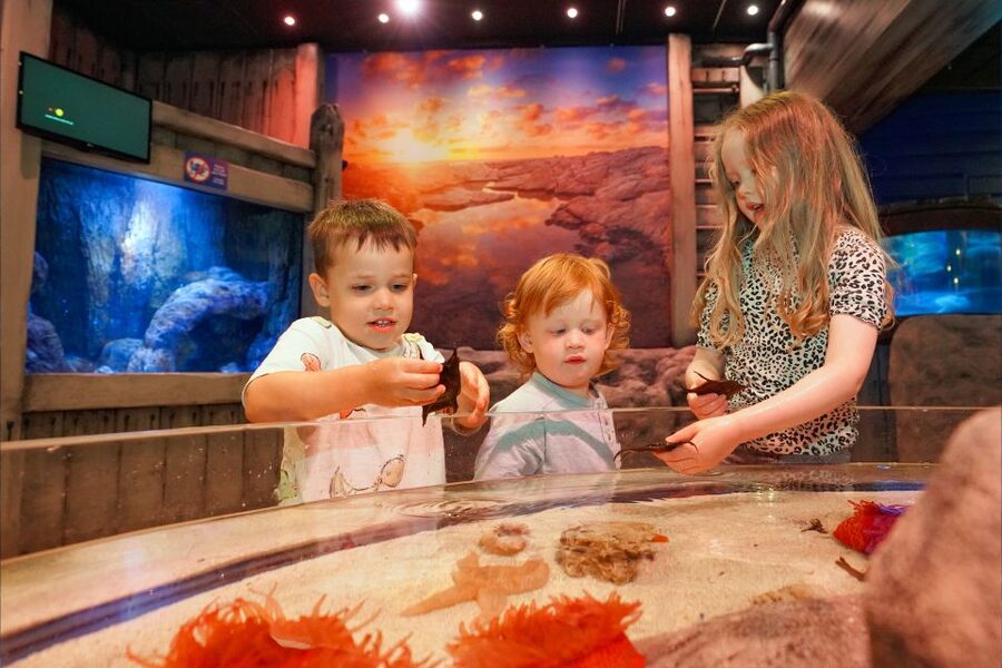 SEA LIFE Great Yarmouth - Starting at SEA LIFE Great Yarmouth on Marine Parade