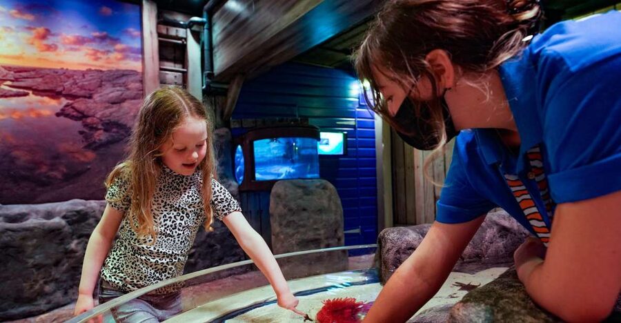 SEA LIFE Great Yarmouth - Seeing Ntombi and Masozi, the African dwarf crocodiles