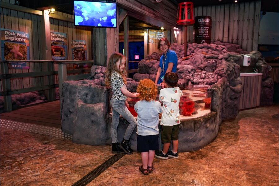 SEA LIFE Great Yarmouth - Who will enjoy this aquarium most