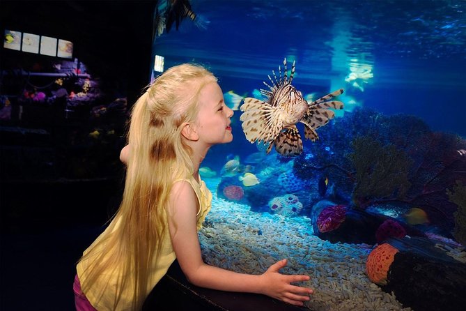 SEA LIFE Great Yarmouth General Admission - The 250,000-litre Tropical Ocean Display