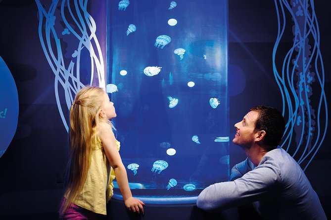 SEA LIFE Great Yarmouth General Admission - Sharks, turtles, and tropical fish