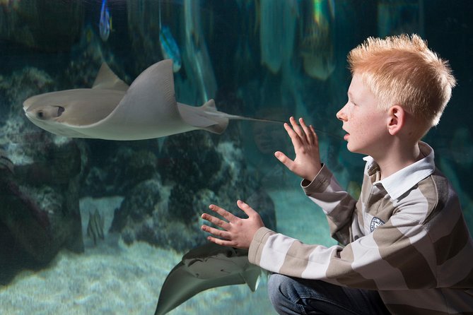 SEA LIFE Hannover Ticket - How much time you really need