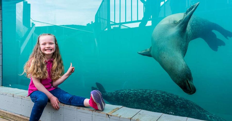 Sea Life Hunstanton - A compact aquarium with a big central tank
