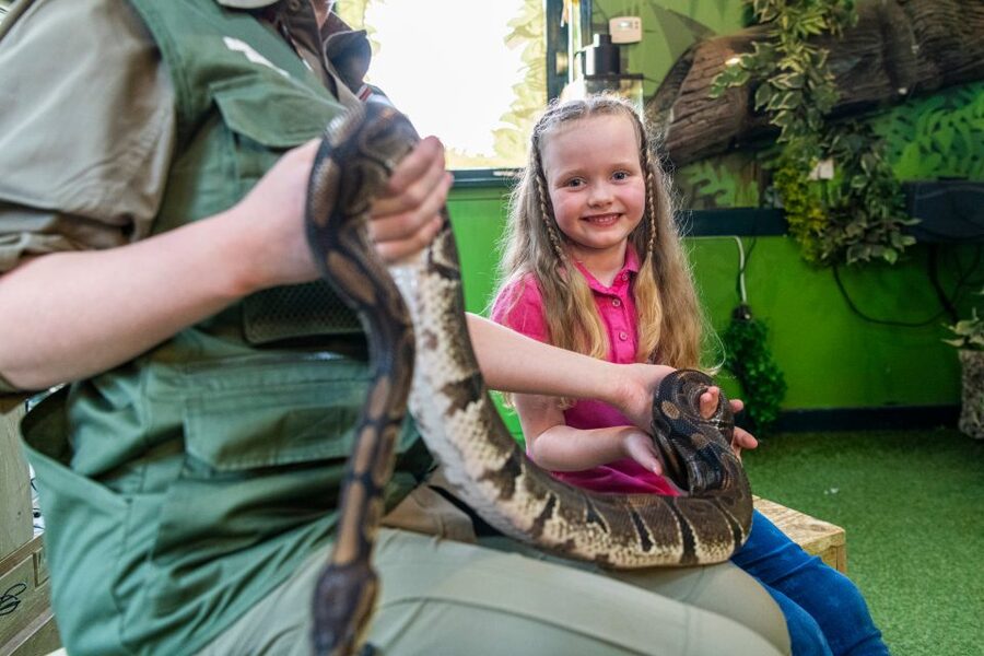 Sea Life Hunstanton - The Rainforest Rangers bring a change of pace