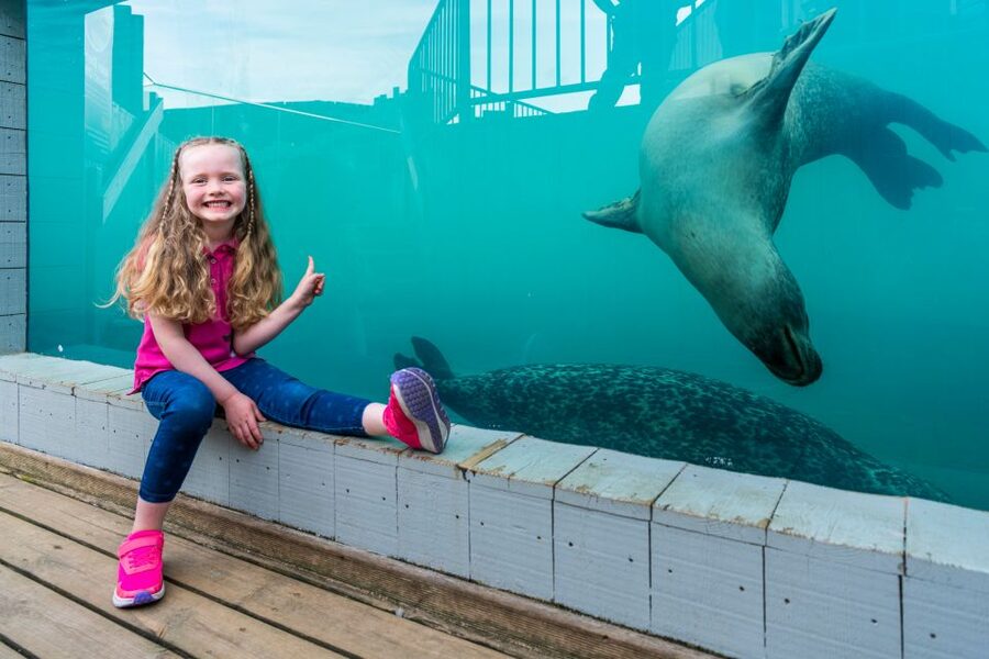 Sea Life Hunstanton - How long to allow and when to arrive