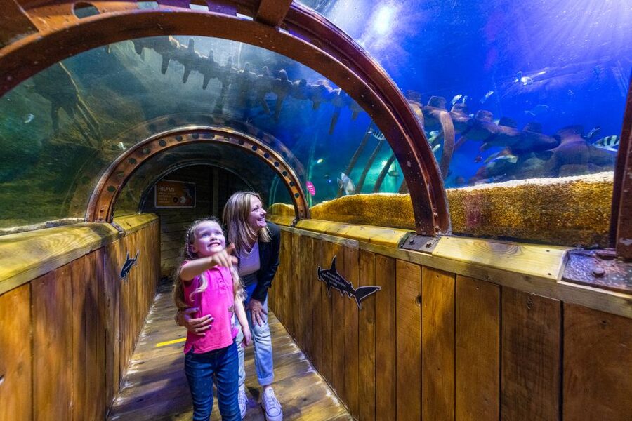 Sea Life Hunstanton - Is the $21 admission good value?