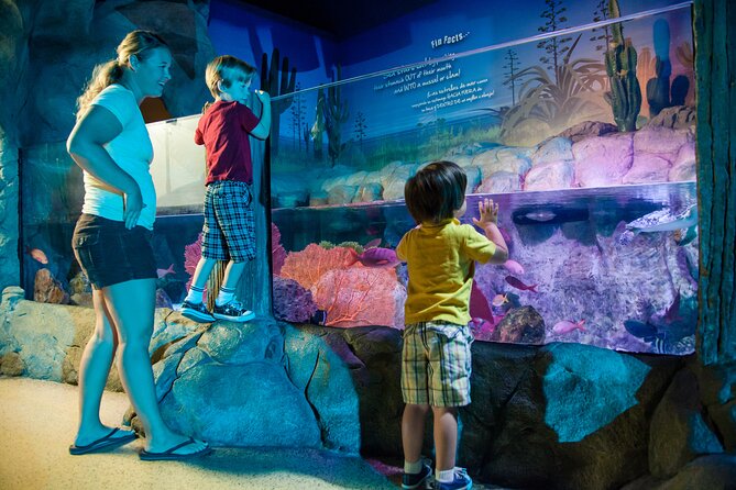 SEA LIFE Kansas City Aquarium Admission Ticket - Jellyfish, turtles, and the animals worth seeking out