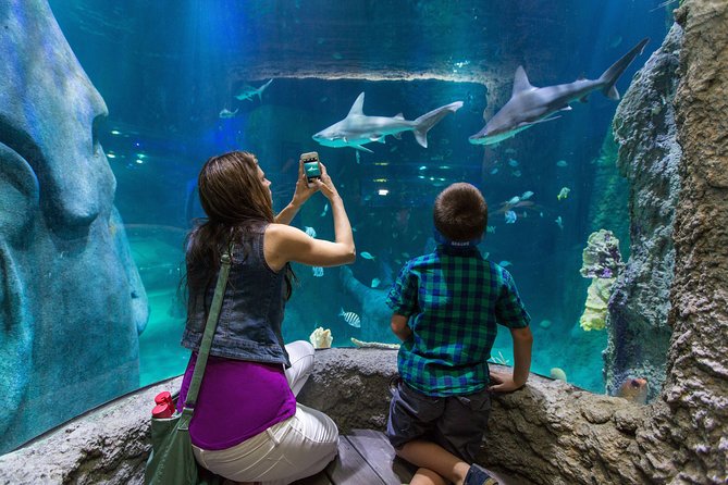 SEA LIFE Kansas City Aquarium Admission Ticket - Touchpools and hands-on learning for children