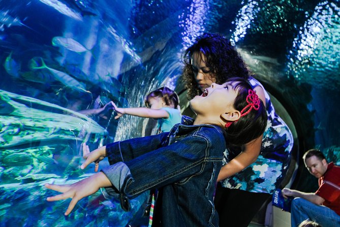 SEA LIFE Kansas City Aquarium Admission Ticket - Talks, feedings, and the best two-hour plan