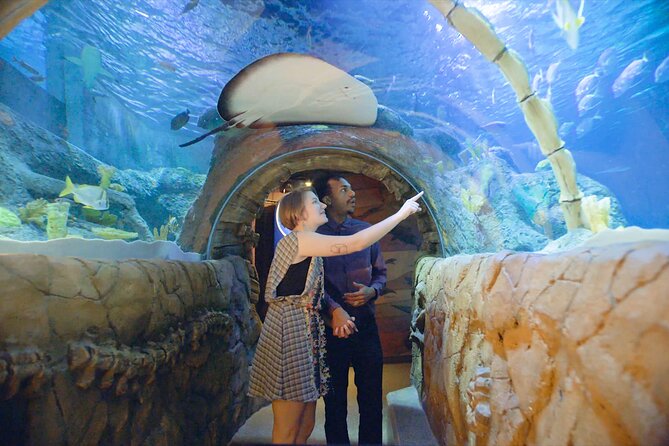 SEA LIFE Kansas City Aquarium Admission Ticket - The glass tunnel, sharks, and cownose rays