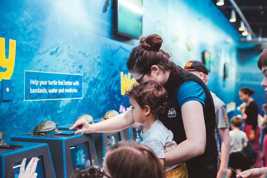 Sea Life Kelly Tarlton's Aquarium General Admission - Seahorse Kingdom offers the rarest sight