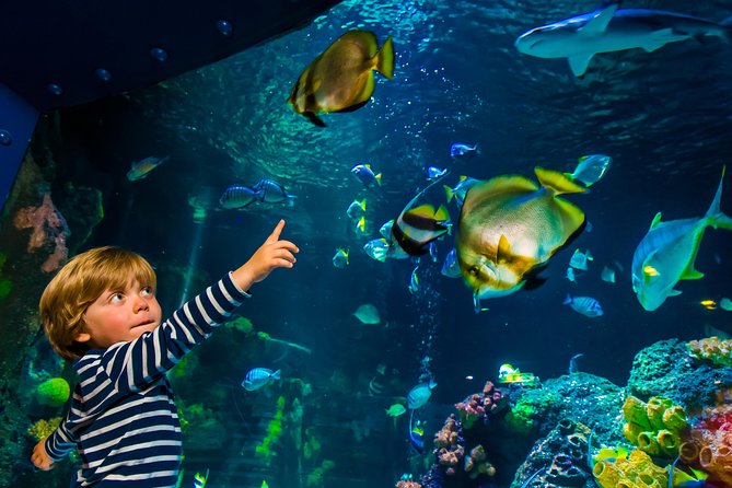 SEA LIFE Konstanz Admission Ticket - From Lake Constance to Antarctic ice