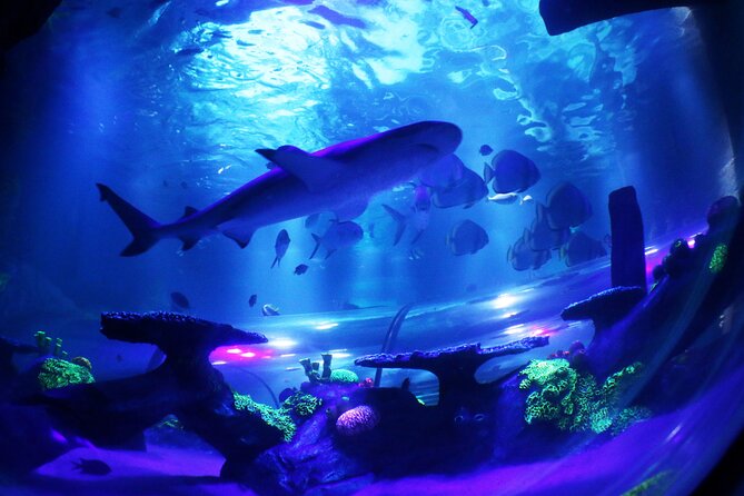 SEA LIFE Konstanz Admission Ticket - How long should you allow?