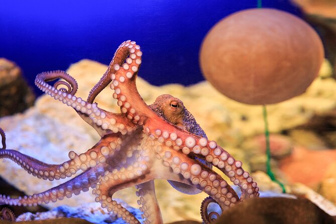 SEA LIFE Konstanz Admission Ticket - The Lake Constance section gives the visit a local start