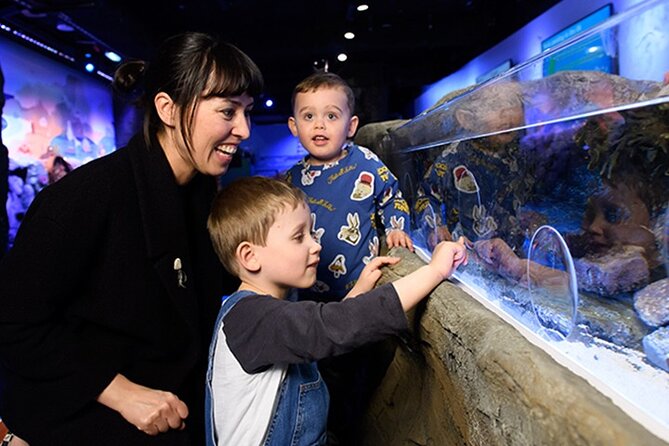 SEA LIFE London Aquarium Admission Ticket - What a two-hour visit really feels like