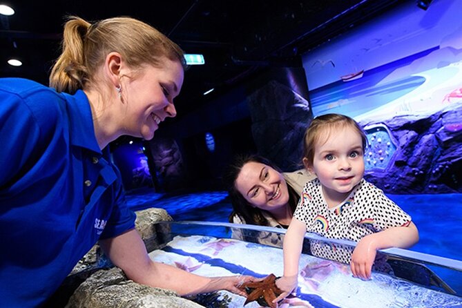 SEA LIFE London Aquarium Admission Ticket - The glass tunnel and the Pacific zone