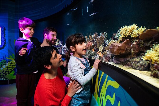 SEA LIFE London Aquarium Admission Ticket - Penguins, turtles, jellyfish, and the quieter highlights