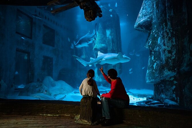 SEA LIFE London Aquarium Admission Ticket - Talks and feedings are worth planning around