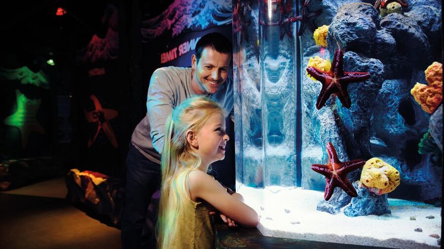 SEA LIFE London & DreamWorks Shrek's Adventure: Combo Ticket - How long to spend at SEA LIFE London