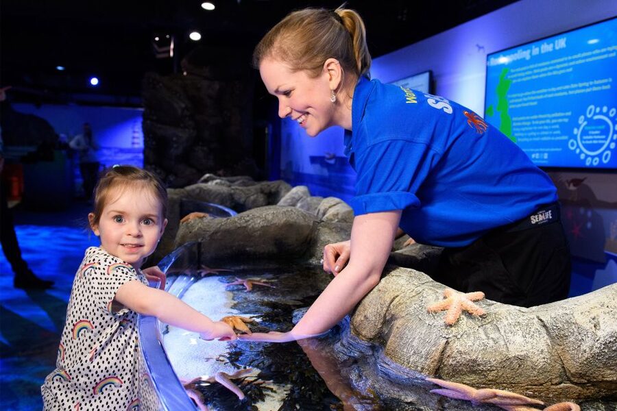 SEA LIFE London & DreamWorks Shrek's Adventure: Combo Ticket - The language issue you should take seriously