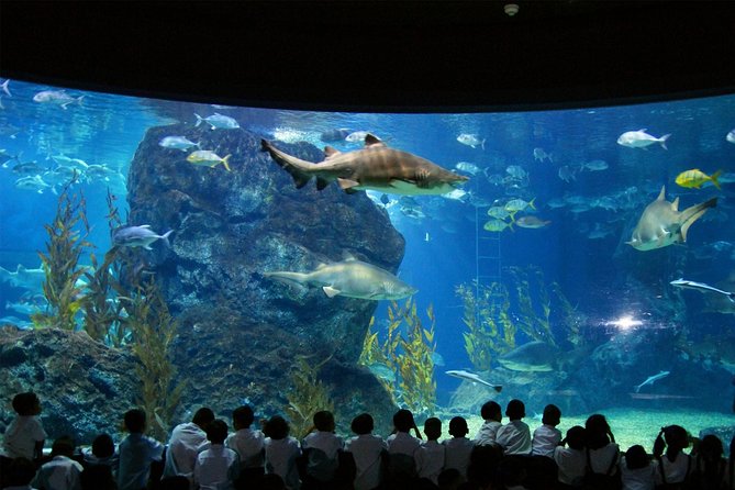 SEA LIFE & Madame Tussauds: Ultimate Bangkok Combo Ticket - Two very different attractions in Bangkok’s Siam district