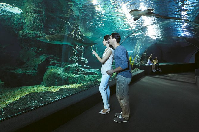 SEA LIFE & Madame Tussauds: Ultimate Bangkok Combo Ticket - How to plan the two stops