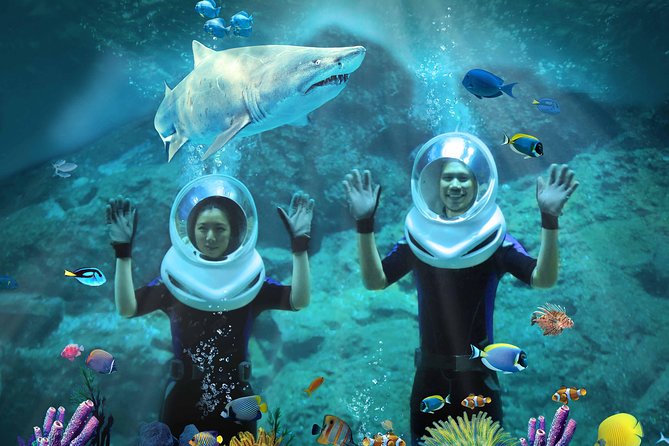 SEA LIFE & Madame Tussauds: Ultimate Bangkok Combo Ticket - Ticket redemption and everyday practical details