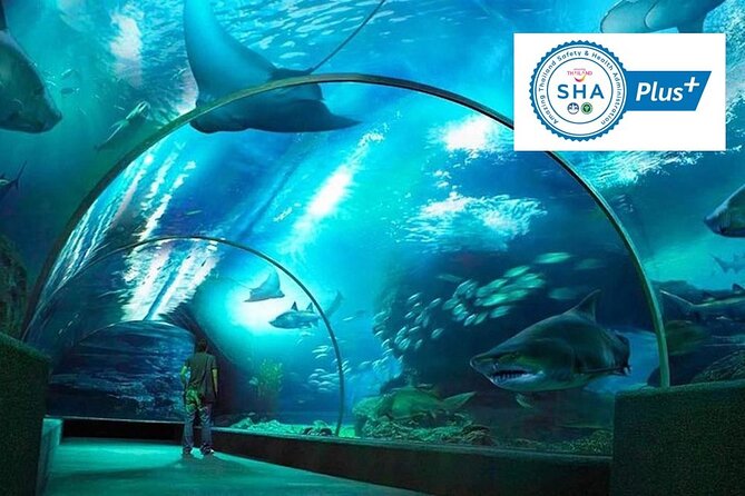 SEA LIFE & Madame Tussauds: Ultimate Bangkok Combo Ticket - SEA LIFE Bangkok and its underwater displays