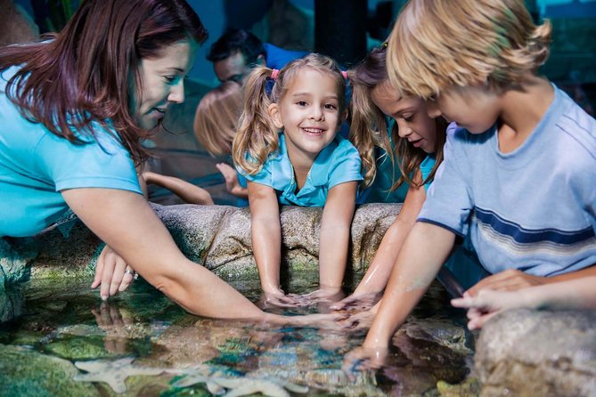 SEA LIFE Manchester Admission Ticket - The glass tunnel and Ernie the green sea turtle