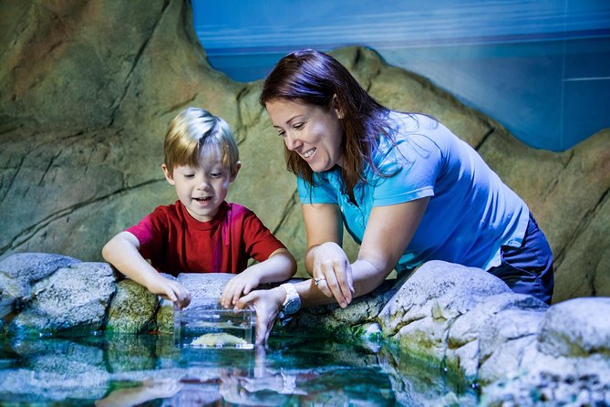 SEA LIFE Manchester Admission Ticket - Tropical ocean views and a sense of scale