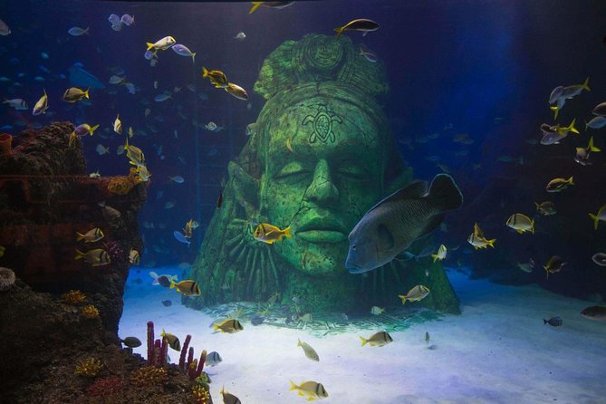 SEA LIFE Manchester Admission Ticket - Stingray Bay and Cal the rescued leopard shark