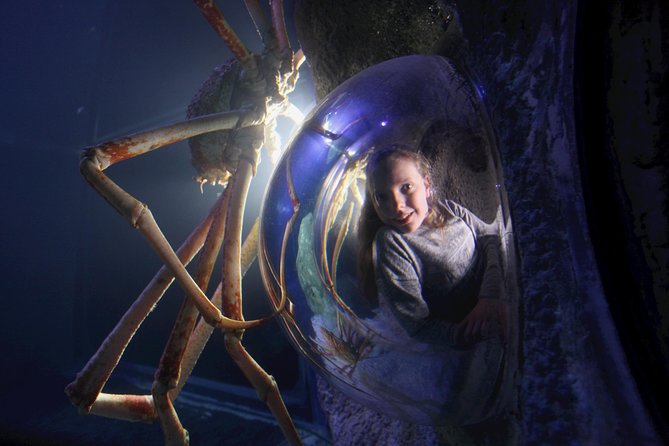 SEA LIFE Manchester Admission Ticket - Conservation Cove gives the visit a purpose