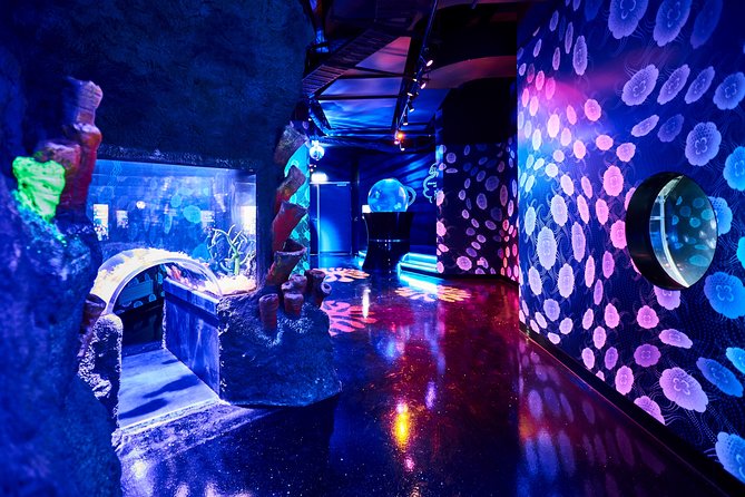 SEA LIFE Melbourne Aquarium Admission Ticket - Penguins first, then a tour of Australia’s underwater world