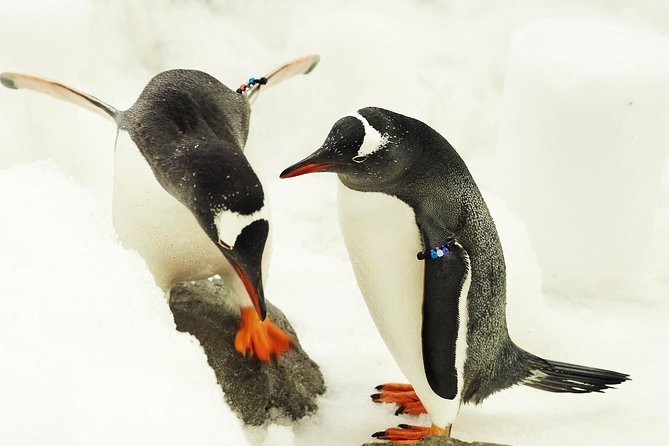 SEA LIFE Melbourne Aquarium Admission Ticket - Is the $27.97 price good value?