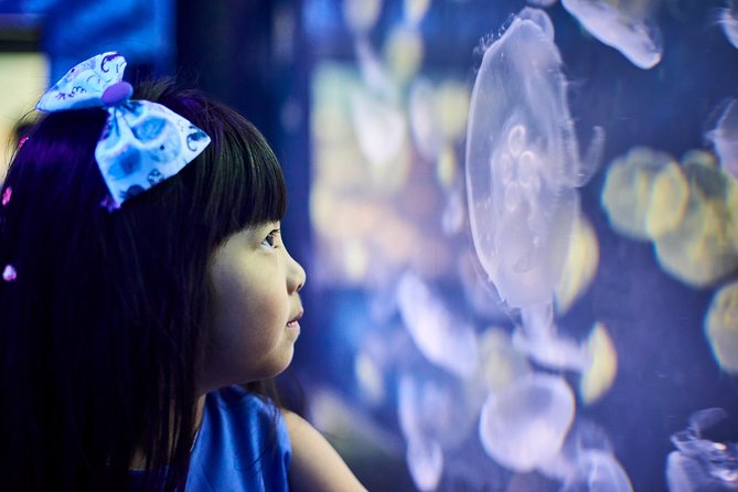 SEA LIFE Melbourne Aquarium Admission Ticket - Who will enjoy SEA LIFE Melbourne most?