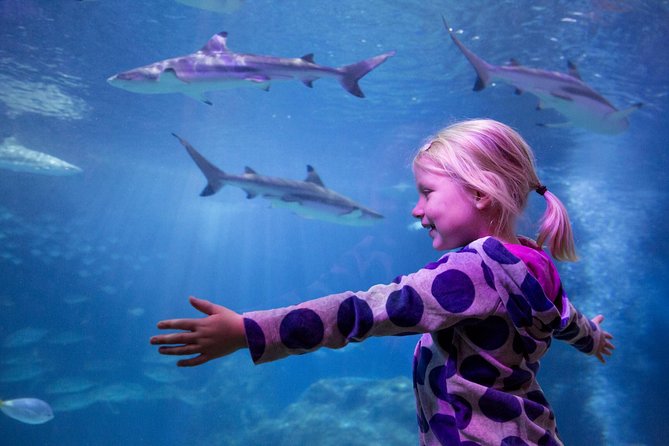 SEA LIFE Michigan Aquarium Admission Ticket - Key points to know before you go
