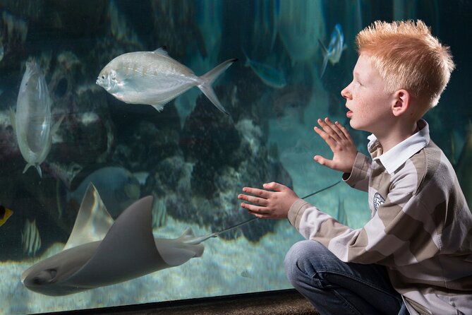 SEA LIFE Michigan Aquarium Admission Ticket - How much time should you plan?