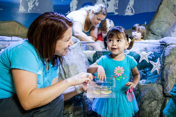 SEA LIFE Michigan Aquarium Admission Ticket - Getting to SEA LIFE inside Great Lakes Crossing