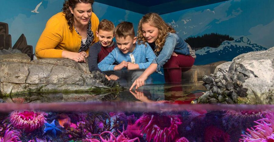 SEA LIFE Michigan Aquarium General Admission - How much time should you allow?
