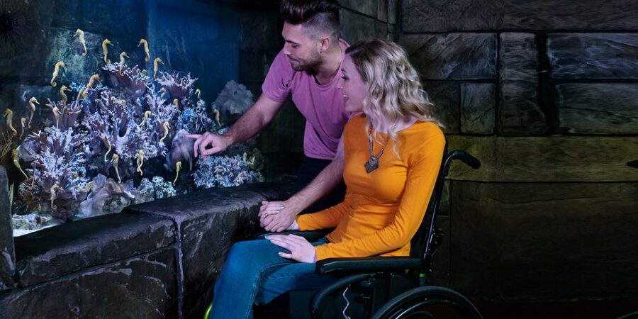 SEA LIFE Michigan Aquarium General Admission - Who will enjoy SEA LIFE Michigan most?
