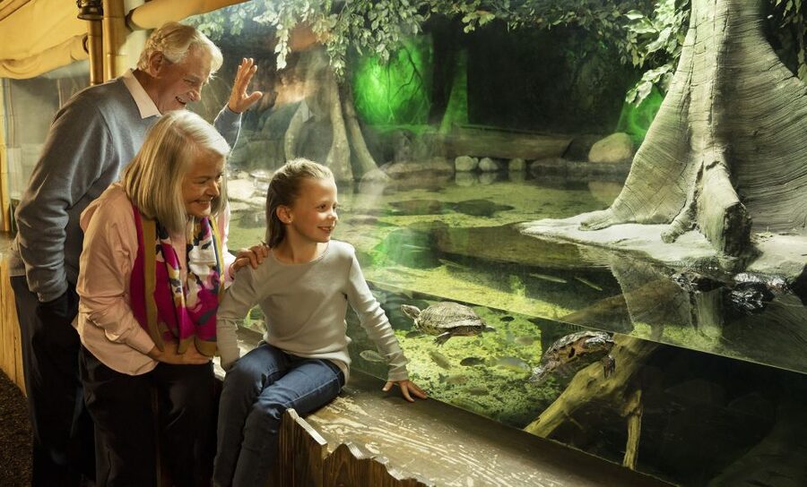 SEA LIFE Michigan Aquarium General Admission - From Michigan’s lakes to saltwater habitats